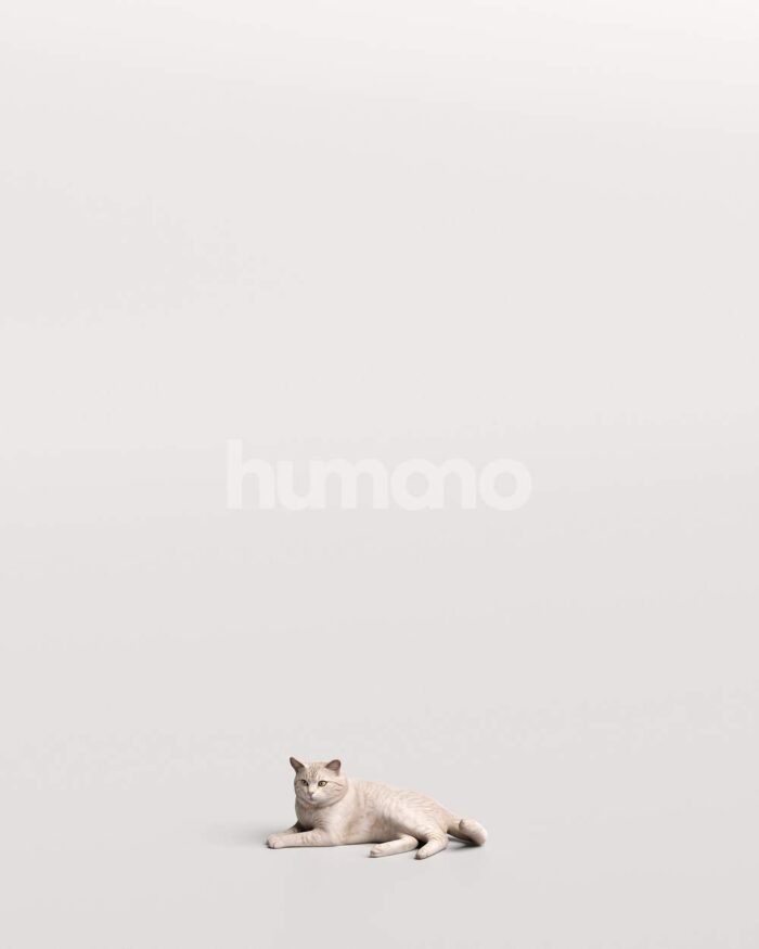 Humano_Posed_2711-012-Cat_01_LOD0_Main_0001