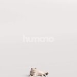 Humano_Posed_2711-012-Cat_01_LOD0_Main_0002