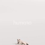 Humano_Posed_2711-012-Cat_01_LOD0_Main_0003