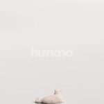 Humano_Posed_2711-012-Cat_01_LOD0_Main_0004