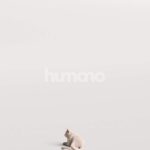 Humano_Posed_2711-012-Cat_01_LOD0_Main_0005